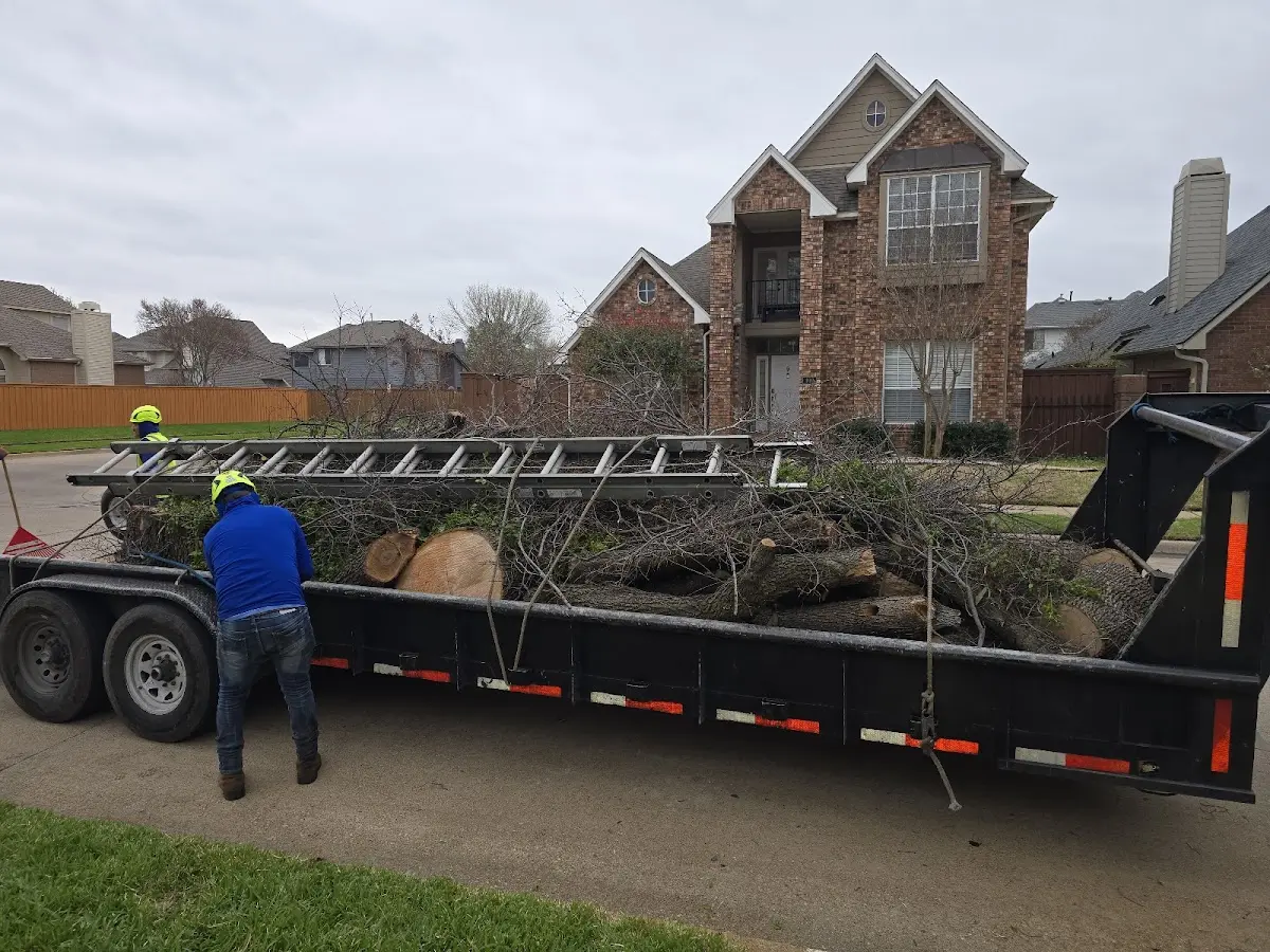 Expert Tree Removal with proper safety equipment in Norwalk